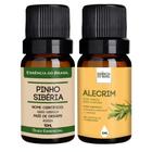 Kit Óleo Pinho Sibéria + Alecrim 10ml - Essência Brasil