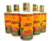 Kit Óleos Africanos Mestre Dos Cachos 5x1 Home Care 300ml