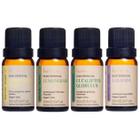 Kit Óleos Essenciais Lavanda Eucalipto Bergamota Lemongrass