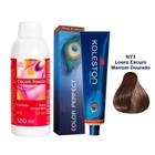 Kit Oxigenada Color Touch 4% 13vol 120ml E ColoraÇÃO Permanente Color Perfect 6/73 60g