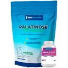 Kit Palatinose All Natural 1Kg Natural + BCAA 2:1:1 2400mg Com Vitamina B6 NEWNUTRITION