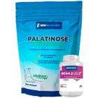 Kit Palatinose All Natural 1Kg Natural + BCAA 2:1:1 2400mg Com Vitamina B6 NEWNUTRITION