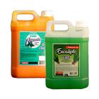 Kit Pasta Pinho Aqualiv e Essência Eucalipto Concentrado 5L