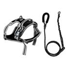 KIT PET PASSEIO - Cloud1 M preto, TrailRope1 1,8m