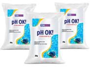 Kit Ph Ok 6Kg Para Piscina Ph Certo Tog Max