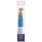 Kit Pincel Winsor & Newton Cotman 5 Pincéis