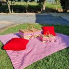 Kit Piquenique + Picnic Mini + 2 Almofadas + Toalha Xadrez - Segredo das Artes