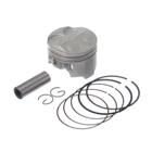 Kit Pistao RIK PREMIUM Cb600 Horn 05-07 medida 1.00