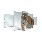 Kit Placas Quadros Decorativos 5 pçs 3D Borda infinita Tigre