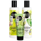 Kit Premium Nutrição Cabelo Ressecado Organic Shop