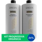 Kit Progressiva Sem Formol Orgânica Semi Definitiva Profissional