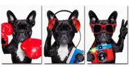 kit quadro decorativo 3 peças 60x 40 cachorrinhos Óculos e Fone