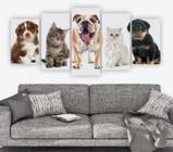 Quadro Decorativo Cachorros E Gatos Desenho Aquarela 4874