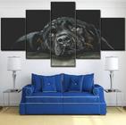 Kit Quadros Decoração Rottweiler Cachorro"