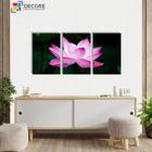 Kit Quadros Decorativos 3 Peças Rosa Floral Flor De Lótus