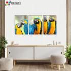 Kit Quadros Decorativos Pássaros Araras 3 Peças 40x60 Mdf