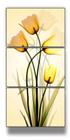 kit quadros Flores Tulipas Brancas Gold"