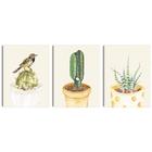 Kit Quadros Jardim Secreto Natureza em Cores