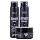 Kit Recovery Restauração Capilar Shampoo Condicionador Máscara Vaiolle Profissional 300ml