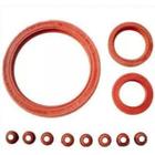 Kit retentor motor clio megane scenic kangoo - 1350114