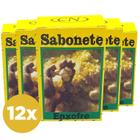 Kit Revenda 12 Sabonetes Enxofre 50g CN