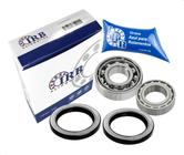 Kit Rolamentos Roda Traseira Kombi 75-2013 - IRB Auto