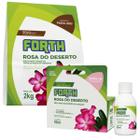 Kit Rosa do Deserto Fertilizante Conc. + Substrato FORTH