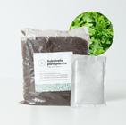 Kit Rúcula SANCHZ Cultivo Fácil Sabor Picante Nutritivo