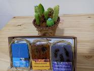 Kit Sabonete Artesanal em Barra 120 g cada - Algodão, Lavanda e Calêndula 