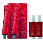 Kit Schwarzkopf Igora Royal 2 tintas 8-77 Louro Medio Cobre Extra 60g + 2 Agua Ox 20vol 60ml