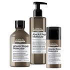 Kit Sh + Leave-In + Sérum L'Oreal Absolut Repair Molecular