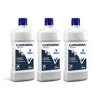 Kit Shampoo Clorexidina Antiqueda Antisséptico Antisseborreico Dugs 500ml World