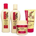 Kit Shampoo Condicionador Banho de Creme e Finalizador Pós Coloração Goji Berry 250ml - Bio Extratu