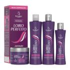 Kit Shampoo Condicionador Máscara E Creme Para Pentear Profissional Loiro Perfeito Bio Instinto