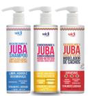 Kit Shampoo Limpeza Inteligente 500ml - Encaracolando Juba Creme de Pentear 500ml - Condicionador 500ml Widi Care