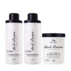 Kit Shock Stream Litro Aramath shampoo sem sal máscara condicionador óleo de coco profissional vegano