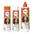 Kit SOS Cachos Salon Line Coco Tratamento Profundo