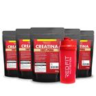Kit Suplemento em Pó Red Fit Nutrition 100% Puro Importado C/ Laudo Kit Creatina 500g ( 5 Unidades )