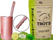 Kit Terere Rosa Copo Redondo Bomba Chata Erva Menta e Limão