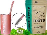 Kit Terere Rosa Inox Copo Redondo Bomba Mola Menta e Boldo