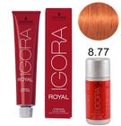 Kit Tintura Schwarzkopf Igora Royal 8-77 Louro Claro Cobre Intenso 60g + Água Oxigenada 12% 40 volumes 60ml