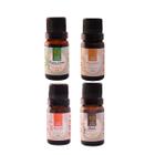 Kit Top 4 Essências Aromatizantes 10ml Para Difusores Casa