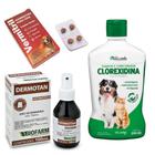 Kit Tratamento Dermatite Canina E Micose - Anti Pulgas e Dermotan
