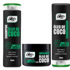Kit tratamento Nutrição Shampoo Condicionador e Máscara óleo de Coco 250gr Max Hair