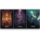 Kit Trio 3 Poster Decorativo A3 Brilhante Harry Potter B1