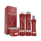 Kit Vinagre De Maçã Bio Instinto shampoo mascara condicionador finalizador cabelos oleosos