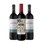 Kit Vineyards e Astica Cabernet Sauvignon- 3 Unidades