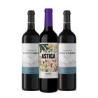 Kit Vineyards e Astica Malbec-3 Unidades