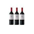 Kit Vinho Casillero Del Diablo Cabernet Sauvignon 750ml 3uni