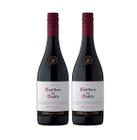 Kit Vinho Casillero Del Diablo Pinot Noir 750ml 2 unidades - Concha Y Toro